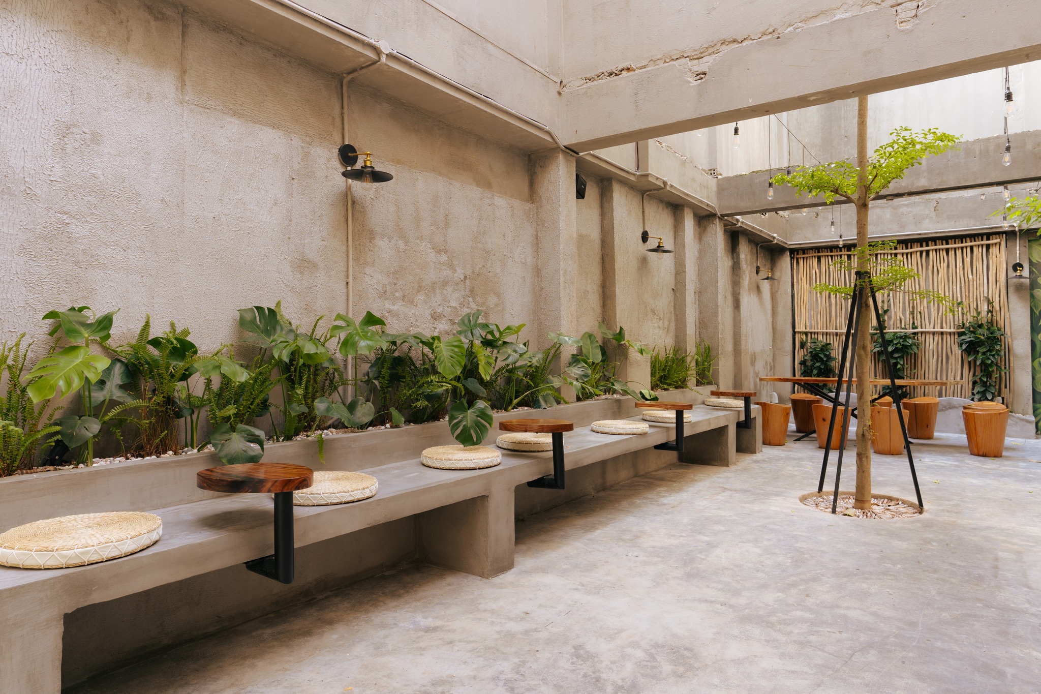 Một góc sáng và mềm của Rure Coffee Tea